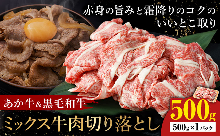 あか牛＆黒毛和牛ミックス牛肉切り落とし 500g 熊本県畜産農業協同組合《60日以内に出荷予定(土日祝除く)》熊本県 産山村 くまもとあか牛 くまもと黒毛和牛 切り落とし 牛肉 肉 熊本県産 和牛 あか牛 黒毛和牛【配送不可地域あり】（離島）