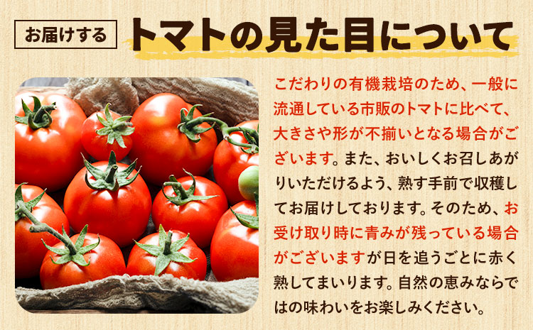 有機JASとっぺんトマト 約4kg 旬 お取り寄せ 詰め合わせ 贈答 ギフト お中元 お歳暮 熊本 阿蘇 産山村 送料無料 トマト 無農薬 有機《7月上旬-8月下旬頃出荷》