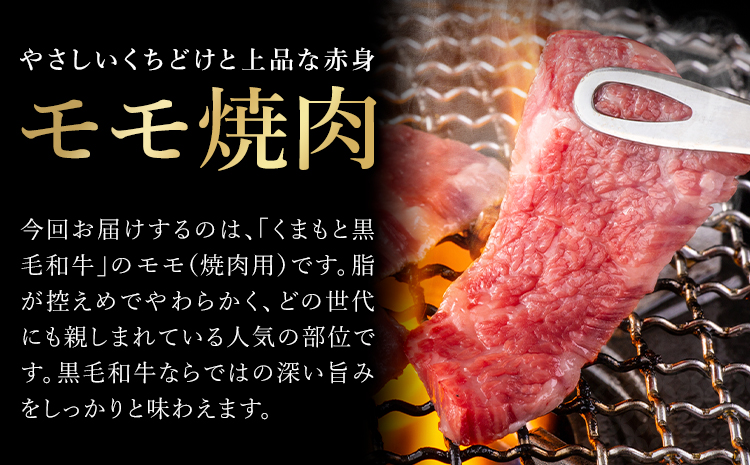 くまもと黒毛和牛・モモ焼肉用約500g《60日以内に出荷予定(土日祝除く)》