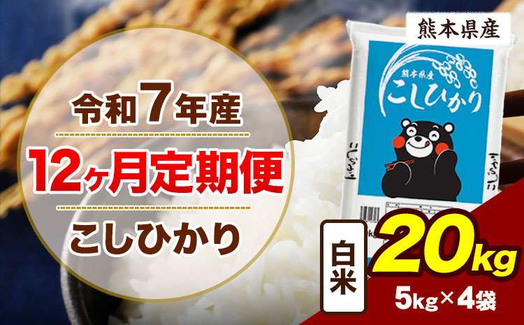 【12ヶ月定期便】令和7年産 定期便 こしひかり 20kg  白米 阿蘇 うぶやま 米 定期便 熊本県産 ふるさと納税 精米 ひの 米 こめ ふるさとのうぜい コシヒカリ コメ お米 おこめ《お申込み翌月から出荷》