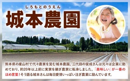 《先行受付開始》産地直送 とうもろこし 朝採れ スイートコーン ゴールドラッシュ 10本セット 特大 熊本 阿蘇 産山村トウモロコシ ギフト 今が旬 コーン 旬 お取り寄せ 人気 大人気 贈答《2026年7月中旬-8月中旬出荷》