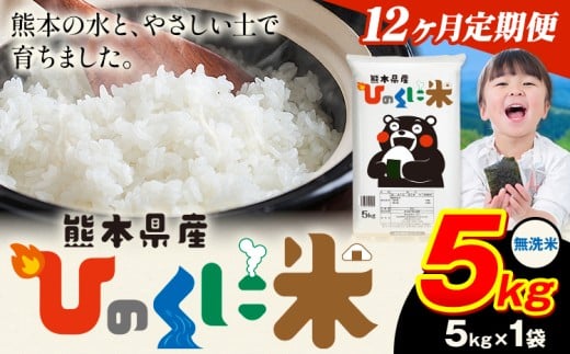 【12ヶ月定期便】 無洗米 ひのくに米 5kg 《お申込み翌月から出荷》 食品 米 こめ コメ 熊本県産 ふるさと納税 お米 おこめ 熊本