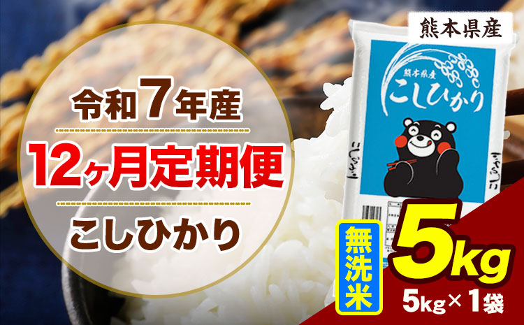 【12ヶ月定期便】令和7年産 定期便 こしひかり 5kg  無洗米 阿蘇 うぶやま 米 定期便 熊本県産 ふるさと納税 精米 ひの 米 こめ ふるさとのうぜい コシヒカリ コメ お米 おこめ《お申込み翌月から出荷》