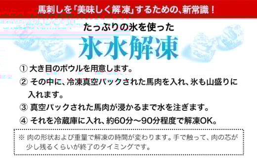 【12ヶ月定期便】馬刺し 赤身 馬刺し 500g 【純 国産 熊本 肥育】 たっぷり タレ付き 生食用 冷凍《お申込み月の翌月から出荷開始》