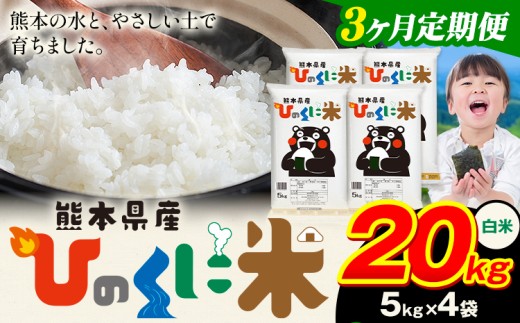 【3ヶ月定期便】 白米 ひのくに米 20kg 《お申込み翌月から出荷》 食品 米 こめ コメ 熊本県産 ふるさと納税 お米 おこめ 熊本