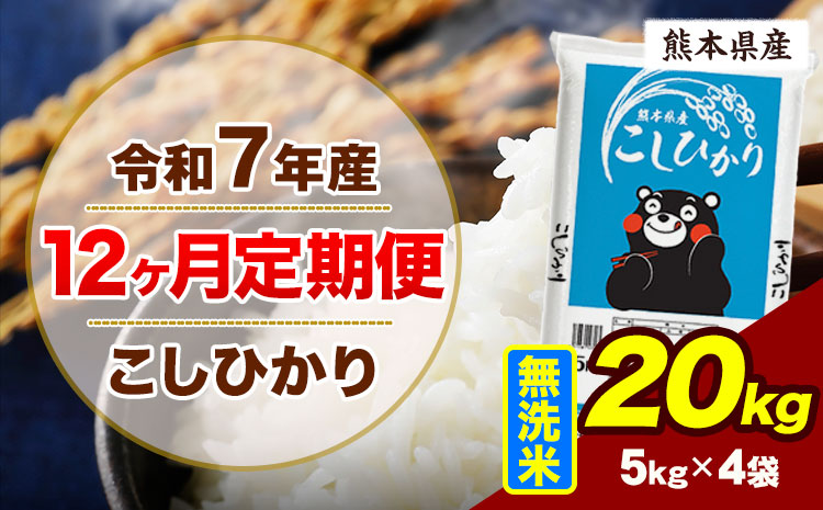 【12ヶ月定期便】令和7年産 定期便 こしひかり 20kg  無洗米 阿蘇 うぶやま 米 定期便 熊本県産 ふるさと納税 精米 ひの 米 こめ ふるさとのうぜい コシヒカリ コメ お米 おこめ《お申込み翌月から出荷》