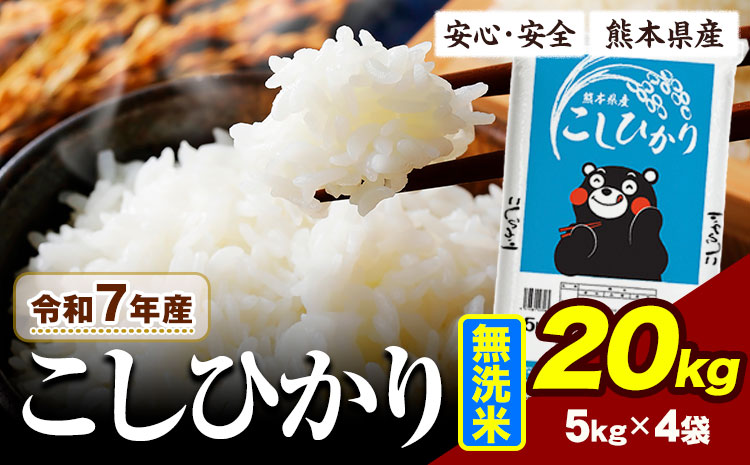令和7年産 こしひかり 20kg 《7-14日以内に出荷予定(土日祝除く)》熊本県産 ふるさと納税 無洗米 ひの 米 こめ ふるさとのうぜい コシヒカリ コメ お米 おこめ
