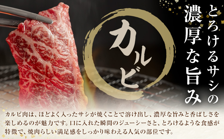 生産者直送！GI認証　くまもとあか牛焼き肉用 600g 150g × 4パック 山の里《60日以内に出荷予定(土日祝除く)》熊本県 産山村 焼き肉 焼肉 BBQ GI認証 くまもとあか牛 赤身 和牛 牛肉 牛 国産 あか牛 ギフト 詰め合わせ 贈り物 お中元 お歳暮 【配送不可地域あり】