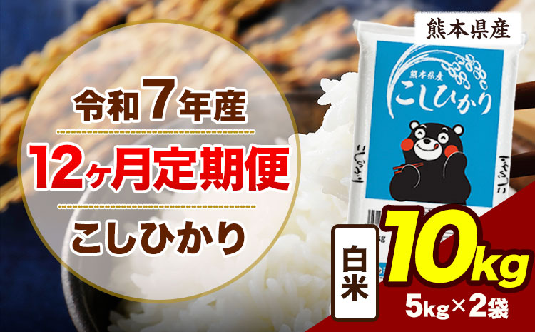 【12ヶ月定期便】令和7年産 定期便 こしひかり 10kg  白米 阿蘇 うぶやま 米 定期便 熊本県産 ふるさと納税 精米 ひの 米 こめ ふるさとのうぜい コシヒカリ コメ お米 おこめ《お申込み翌月から出荷》