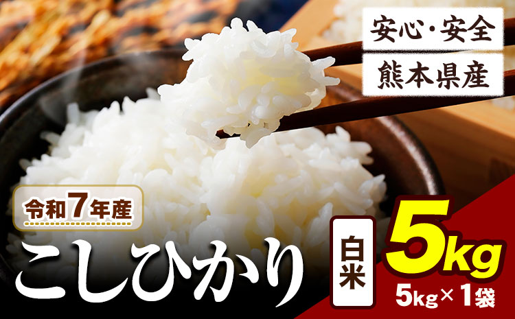 令和7年産 こしひかり 5kg [7-14日以内に出荷予定(土日祝除く)]熊本県産 ふるさと納税 白米 精米 ひの 米 こめ ふるさとのうぜい コシヒカリ コメ お米 おこめ