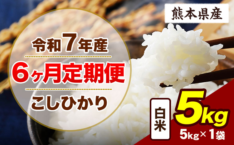 【6ヶ月定期便】令和7年産 定期便 こしひかり 5kg  白米 阿蘇 うぶやま 米 定期便 熊本県産 ふるさと納税 精米 ひの 米 こめ ふるさとのうぜい コシヒカリ コメ お米 おこめ《お申込み翌月から出荷》