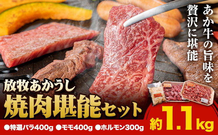 うぶやま村 放牧 あか牛 焼肉 堪能セット 1.1kg 焼肉正 特選バラ モモ ホルモン 赤身 詰め合わせ セット BBQ 焼き肉 和牛 牛肉 牛 国産 あか牛 くまもとあか牛 大容量 ギフト 詰め合わせ 贈り物 お歳暮 熊本 阿蘇 産山村 《60日以内に出荷(土日祝除く)》【配送不可地域あり】
