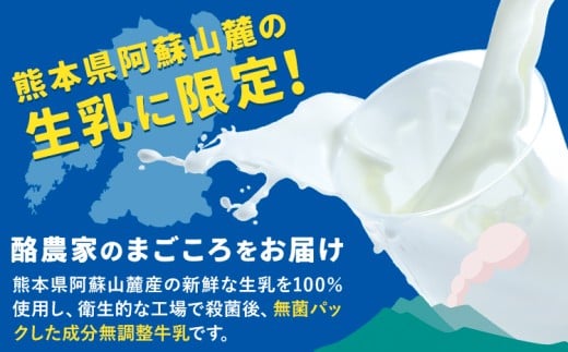 【12ヶ月定期便】牛乳 常温保存可能 成分無調整 生乳100％使用 大阿蘇牛乳 紙パック 250ml×24本 計288本 合同会社たべたせいか《申込月の翌月から出荷開始》熊本県 産山村 牛乳 乳飲料 乳性飲料 ドリンク 飲み物 飲料 セット ロングライフ 熊本県産