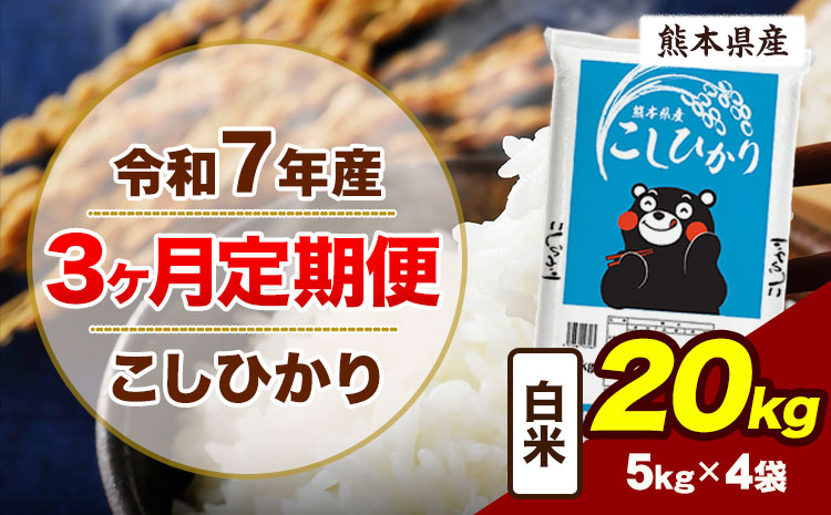 【3ヶ月定期便】令和7年産 定期便 こしひかり 20kg 白米 阿蘇 うぶやま 米 定期便 熊本県産 ふるさと納税 精米 ひの 米 こめ ふるさとのうぜい コシヒカリ コメ お米 おこめ《お申込み翌月から出荷》
