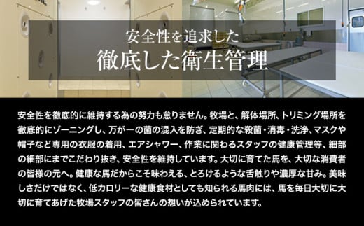 【12ヶ月定期便】馬刺し 赤身 馬刺し 400g 【純 国産 熊本 肥育】 たっぷり タレ付き 生食用 冷凍《お申込み月の翌月から出荷開始》