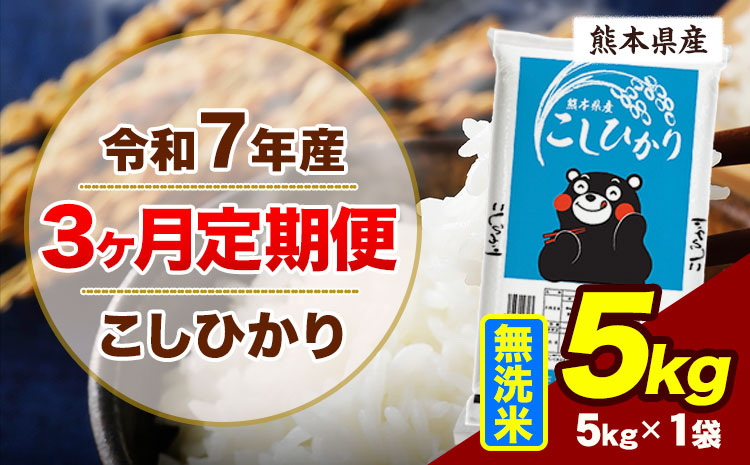 【3ヶ月定期便】令和7年産 定期便 こしひかり 5kg  無洗米 阿蘇 うぶやま 米 定期便 熊本県産 ふるさと納税 精米 ひの 米 こめ ふるさとのうぜい コシヒカリ コメ お米 おこめ《お申込み翌月から出荷》