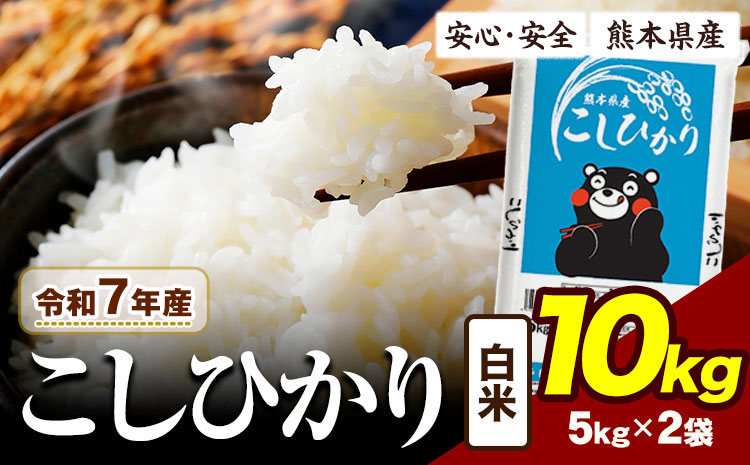 令和7年産 こしひかり 10kg 《7-14日以内に出荷予定(土日祝除く)》熊本県産 ふるさと納税 白米 精米 ひの 米 こめ ふるさとのうぜい コシヒカリ コメ お米 おこめ