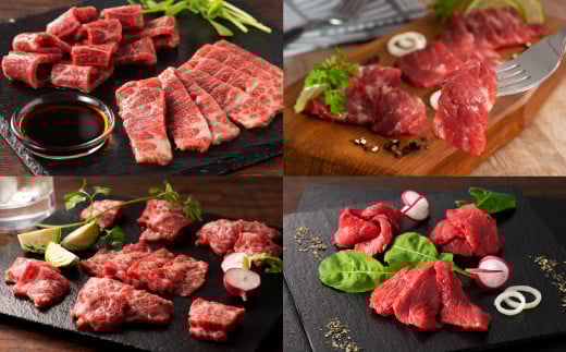 「熊本特産」フジチクオリジナル 特選馬刺しの8種セット《30日以内に出荷予定(土日祝除く)》					