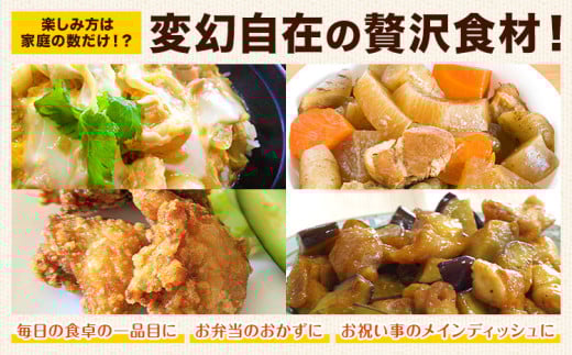 大容量 鶏肉  鶏もも 鶏もも肉 熊本県産 若鶏もも肉 2kg 《30日以内に出荷予定(土日祝除く)》 肉 鶏肉 若鶏 国産 真空 冷凍 冷凍庫 鳥 鳥肉 鳥もも 鳥もも肉 モモ モモ肉 鶏モモ肉 若鶏モモ