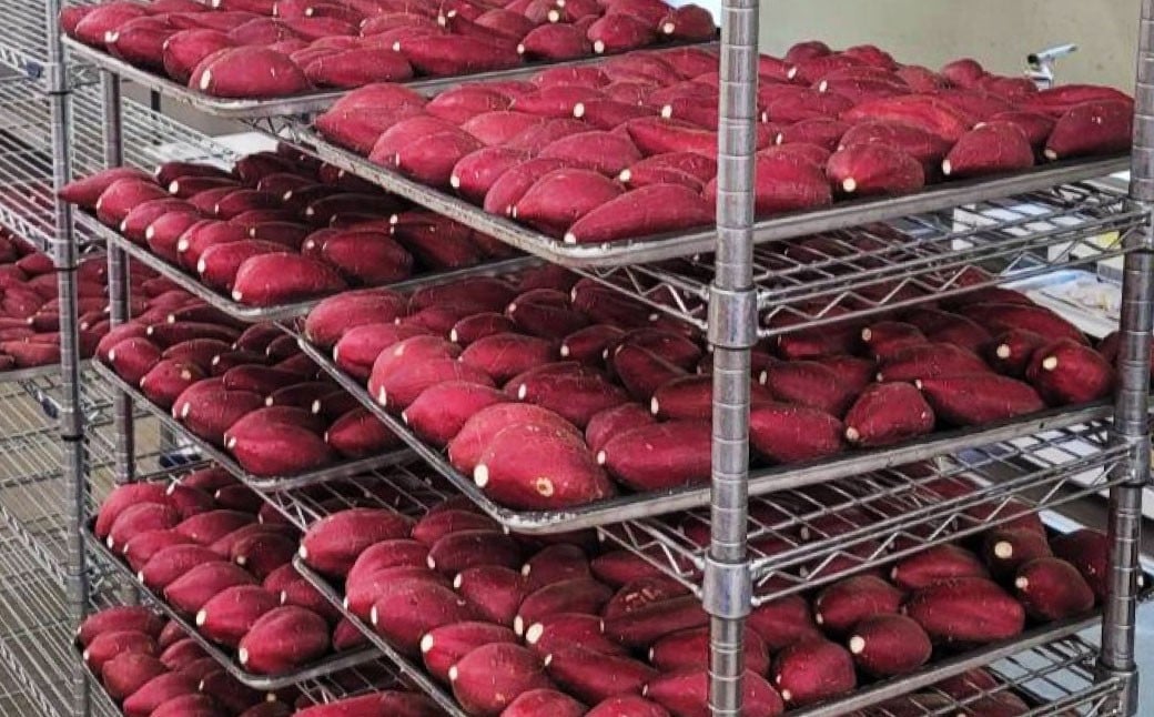 冷し焼き芋（西原シルク）Sサイズ 約300g×6パック入り（計約1.8kg） 焼き芋 やきいも 冷やし焼き芋 さつまいも サツマイモ セット 冷凍