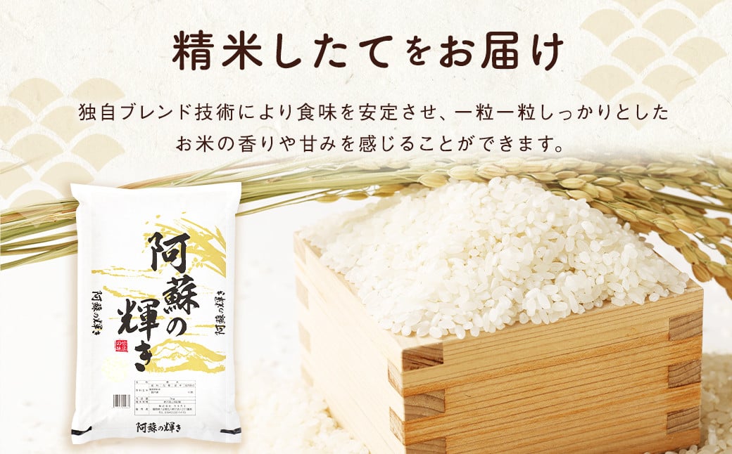 ＜14営業日発送＞ 阿蘇の輝き 10kg 5kg×2袋 精米 コメ 米 お米 ごはん 白米 熊本県産