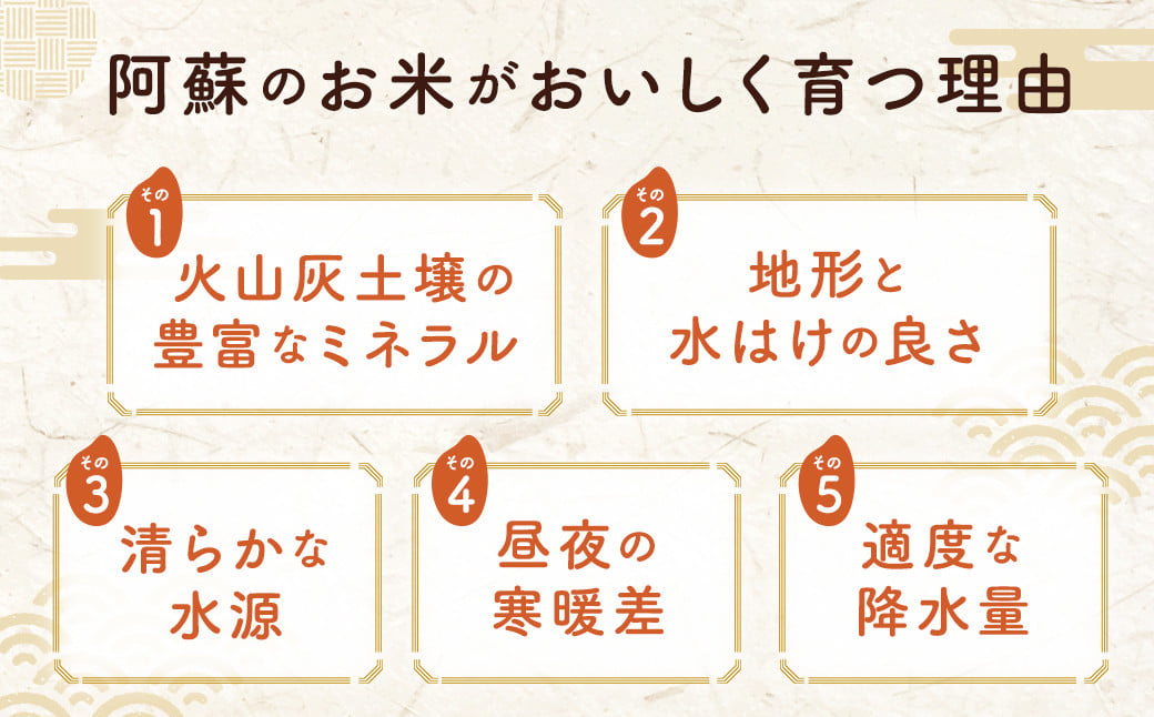 ＜14営業日発送＞ 阿蘇の輝き 5kg 精米 コメ 米 お米 ごはん 白米 熊本県産