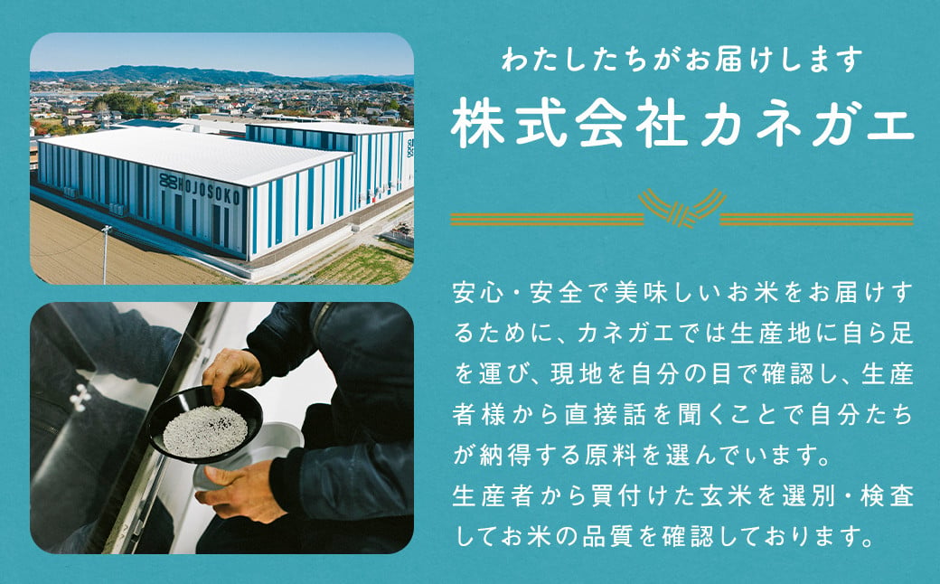 ＜14営業日発送＞ 阿蘇の輝き 10kg 5kg×2袋 精米 コメ 米 お米 ごはん 白米 熊本県産