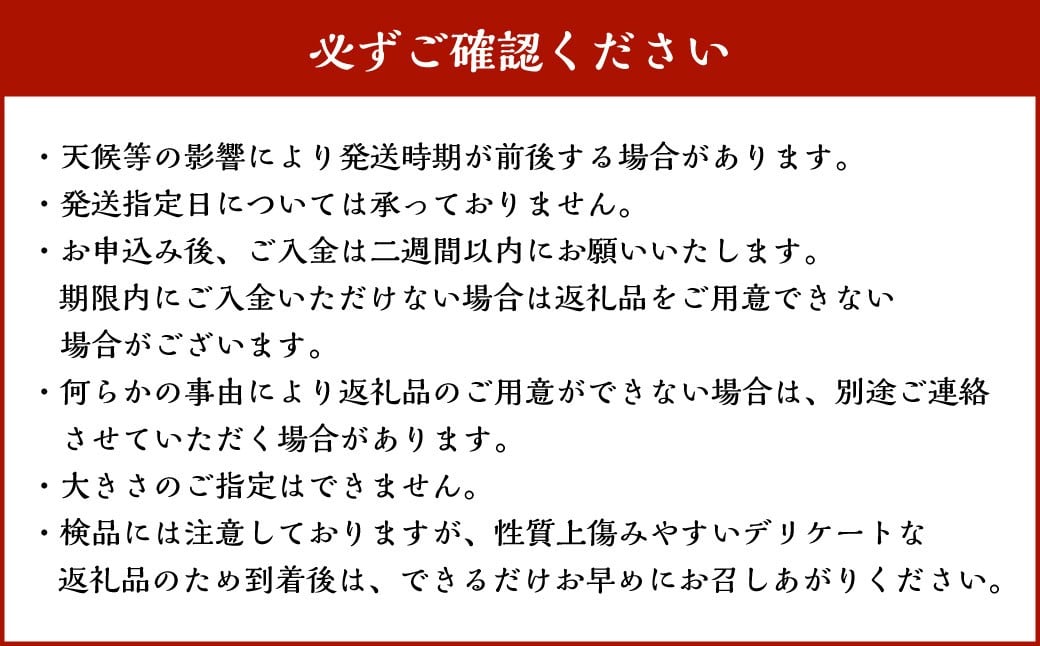 『 2024 － 2025 さつまいも博 シルクスイート 部門 グランプリ 受賞 』 恋シルク 約5kg サツマイモ さつまいも 芋 イモ 焼き芋 【2026年2月下旬まで発送予定】