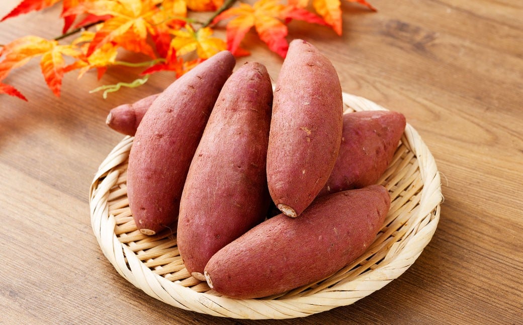 『 2024 － 2025 さつまいも博 シルクスイート 部門 グランプリ 受賞 』 恋シルク 約2kg サツマイモ さつまいも 芋 イモ 焼き芋 【2026年2月下旬まで発送予定】