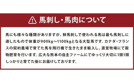 馬刺し赤身・タタキ・ユッケセット 合計290g 3種 詰め合わせ 馬刺し 馬刺 食べ比べ