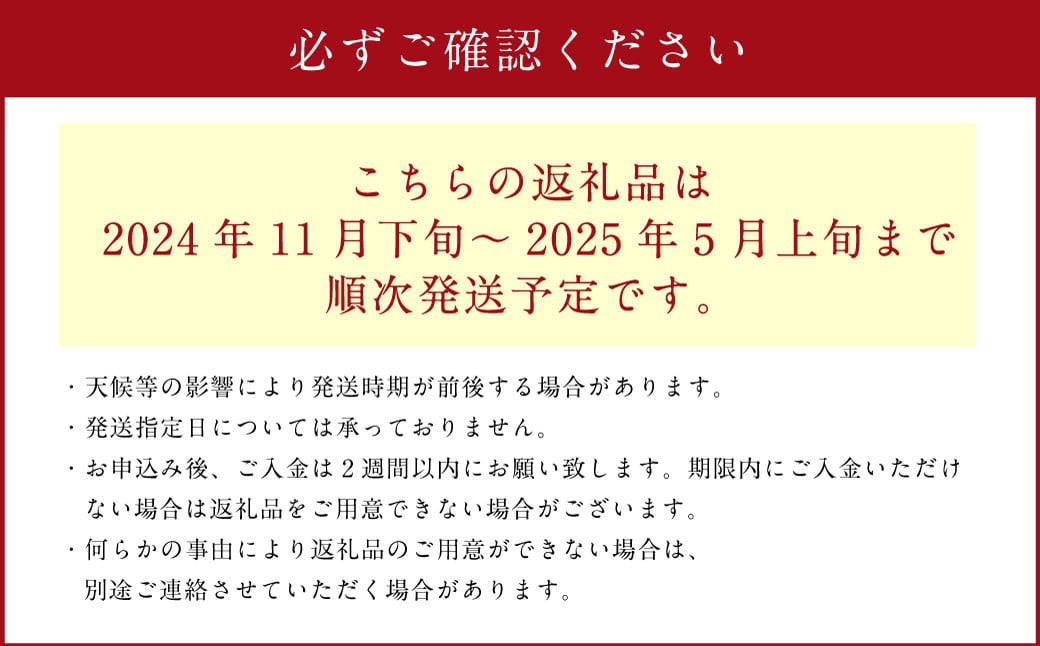 【紅はるか】約10kg 大・中・小サイズ 混合 さつまいも サツマイモ さつま 芋いも 芋 【2024年11月下旬～2025年5月上旬発送予定】