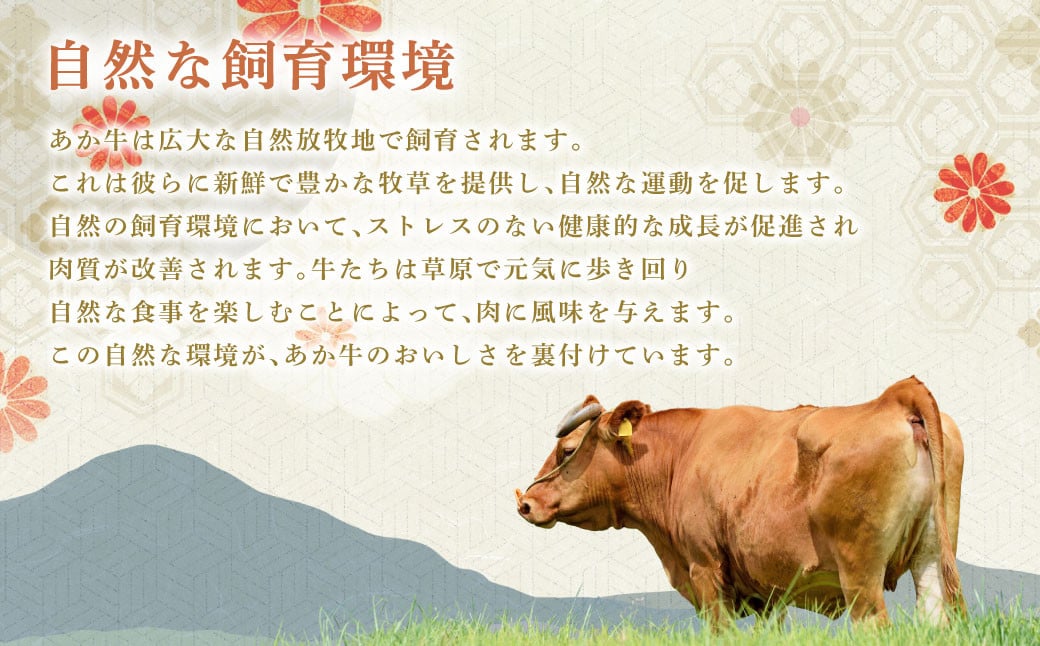 【 4回 定期便 】くまもと あか牛 切り落とし 1.2kg×4回 計4.8kg 肉 牛肉 和牛 ブランド牛 あか牛 赤牛 赤身 切落し 冷凍