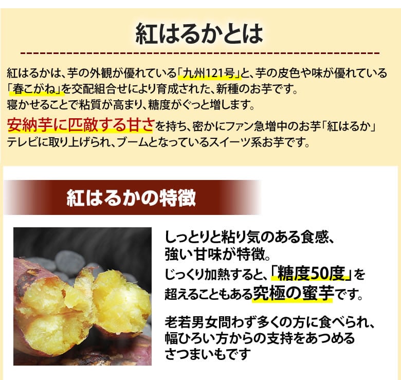 さつまいも 紅はるか 秀品10kg 西原村産 サツマイモ 紅蜜芋 芋 いも【2024年6月下旬まで発送予定】