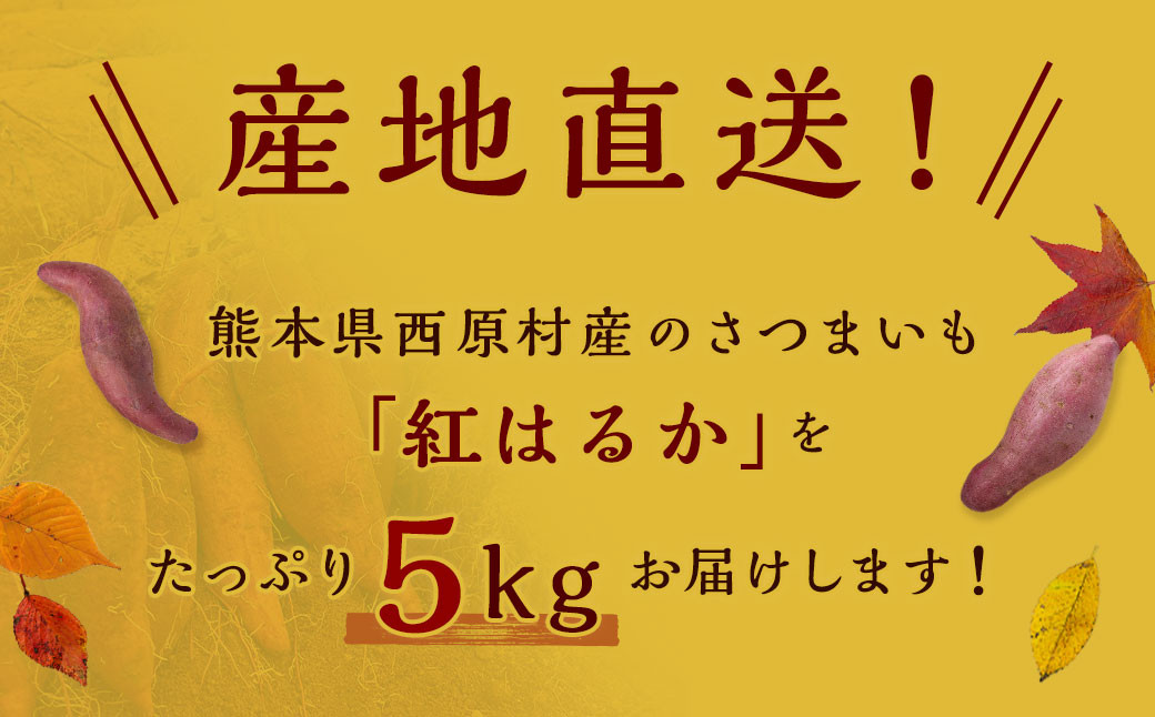 【2023年11月発送開始】【訳あり】熊本県西原村産 熟成蔵出しさつまいも (紅はるか) 5kg (大中小混合・B～C級品)