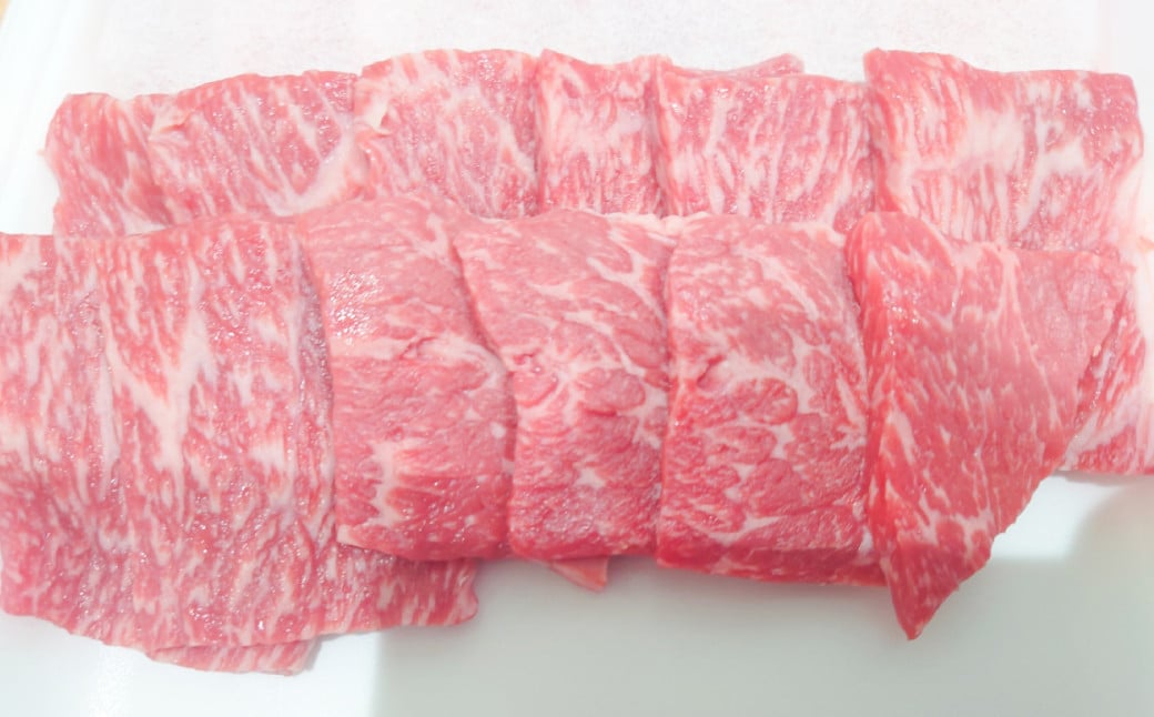 あか牛 おまかせ 焼肉 セット 500g