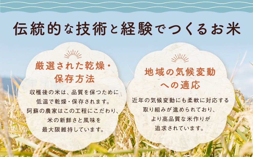 ＜14営業日発送＞ 阿蘇の輝き 10kg 5kg×2袋 精米 コメ 米 お米 ごはん 白米 熊本県産