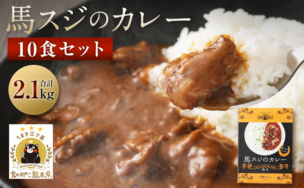 馬スジのカレー 10食セット 合計2.1kg 210g×10個 カレー レトルト 惣菜 馬すじ 馬肉