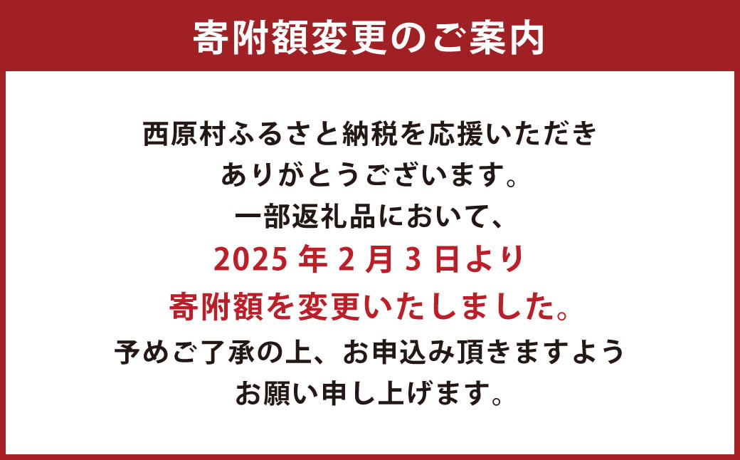 ＜14営業日発送＞ 阿蘇の輝き 10kg 5kg×2袋 精米 コメ 米 お米 ごはん 白米 熊本県産