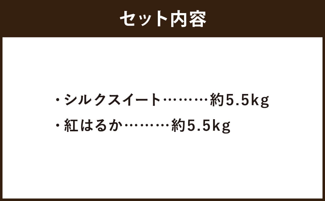 さつまいも 2種（シルクスイート・紅はるか)）食べ比べセット 合計11kg シルクスイート 紅はるか さつまいも サツマイモ 芋 焼き芋 野菜 熊本県産【2024年11月上旬～12月下旬発送予定】