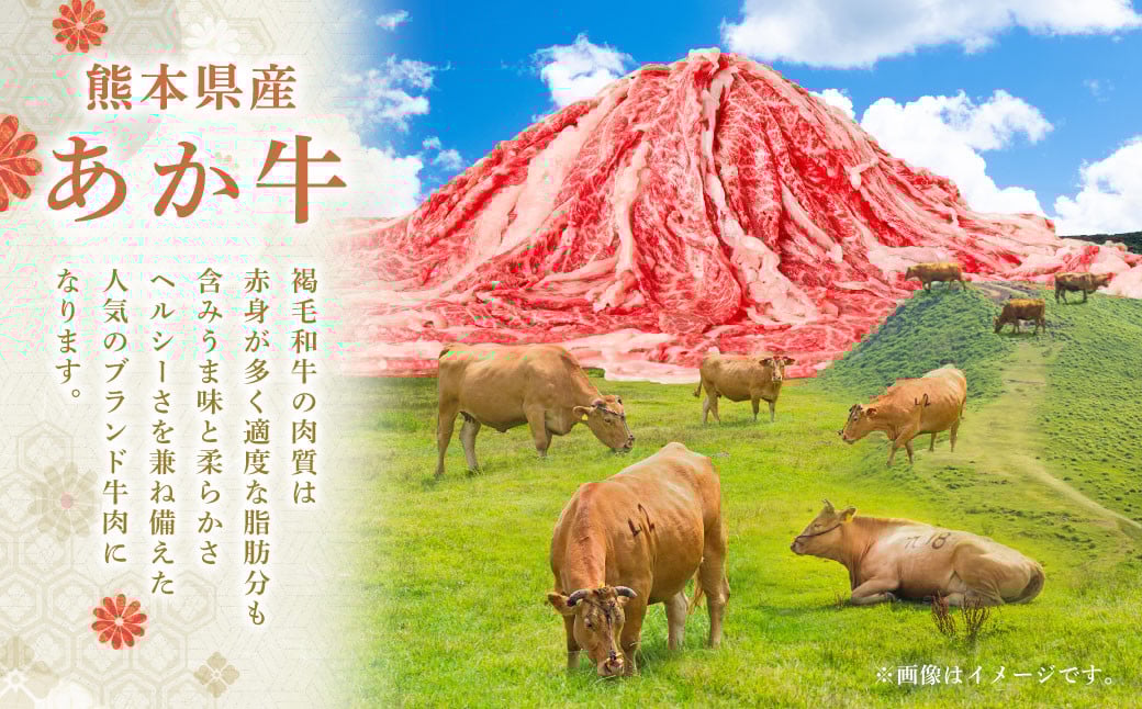 【 9回 定期便 】くまもと あか牛 切り落とし 1.2kg×9回 計10.8kg 肉 牛肉 和牛 ブランド牛 あか牛 赤牛 赤身 切落し 冷凍