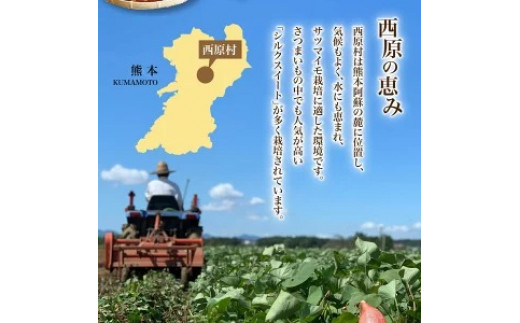 【大きめ（M〜2L）】紅琥珀スイート（シルクスイート） 約3kg箱  さつまいも 芋 サツマイモ いも イモ しるくすいーと 熊本県 西原村 【2026年2月下旬まで発送予定】