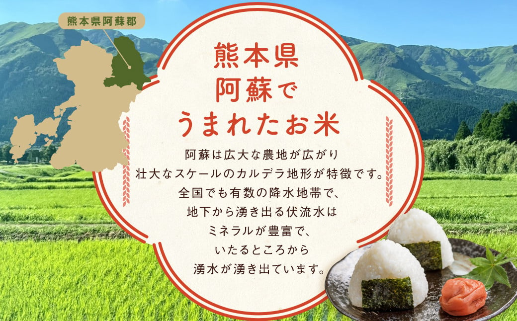 ＜14営業日発送＞ 阿蘇の輝き 10kg 5kg×2袋 精米 コメ 米 お米 ごはん 白米 熊本県産