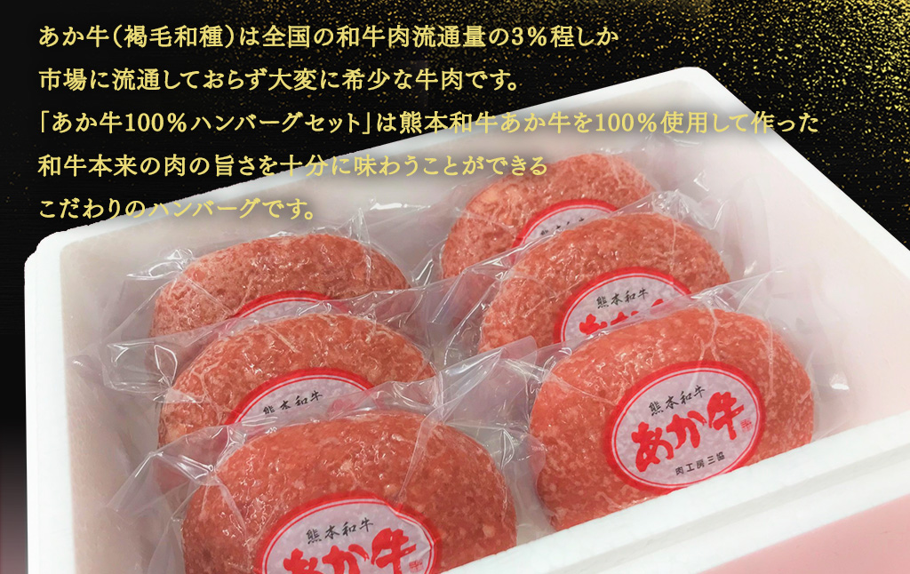 あか牛 100％ ハンバーグ セット(あか牛ハンバーグ120g×6個、あか牛のたれ200ml付き)