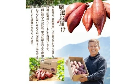 【小さめ（3S-S）】 紅琥珀スイート （シルクスイート） 約3kg箱 さつまいも 芋 サツマイモ いも イモ しるくすいーと 熊本県 西原村 【2026年2月下旬まで発送予定】