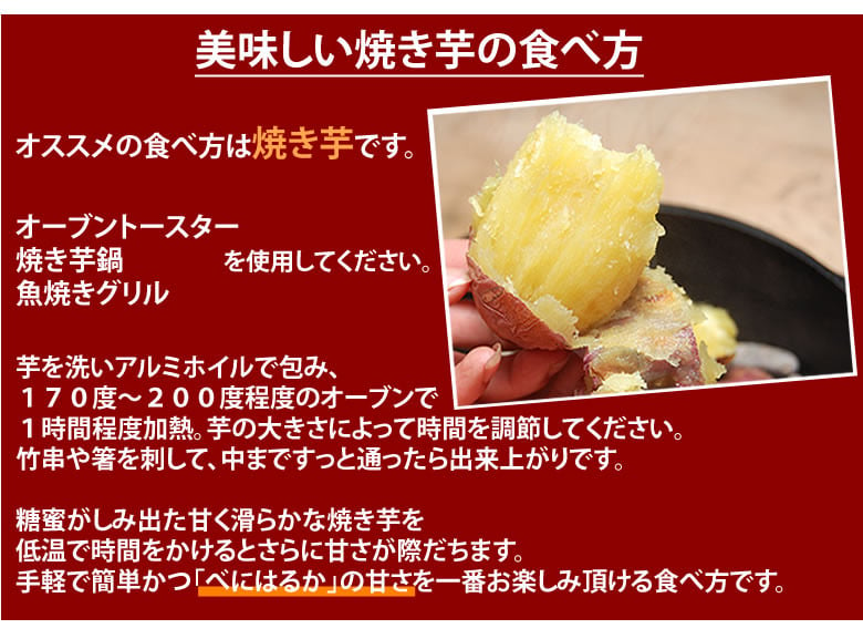 さつまいも 紅はるか 秀品10kg 西原村産 サツマイモ 紅蜜芋 芋 いも【2024年6月下旬まで発送予定】
