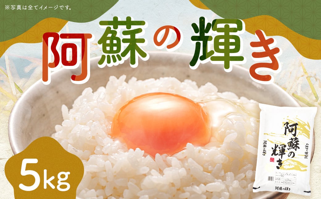 ＜14営業日発送＞ 阿蘇の輝き 5kg 精米 コメ 米 お米 ごはん 白米 熊本県産