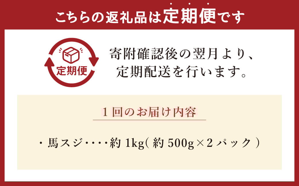 【3ヶ月定期便】馬スジ 約1kg 計約3kg 馬スジ 馬すじ 馬肉 馬 肉 すじ肉 煮込み 定期便 熊本県 西原村 冷凍