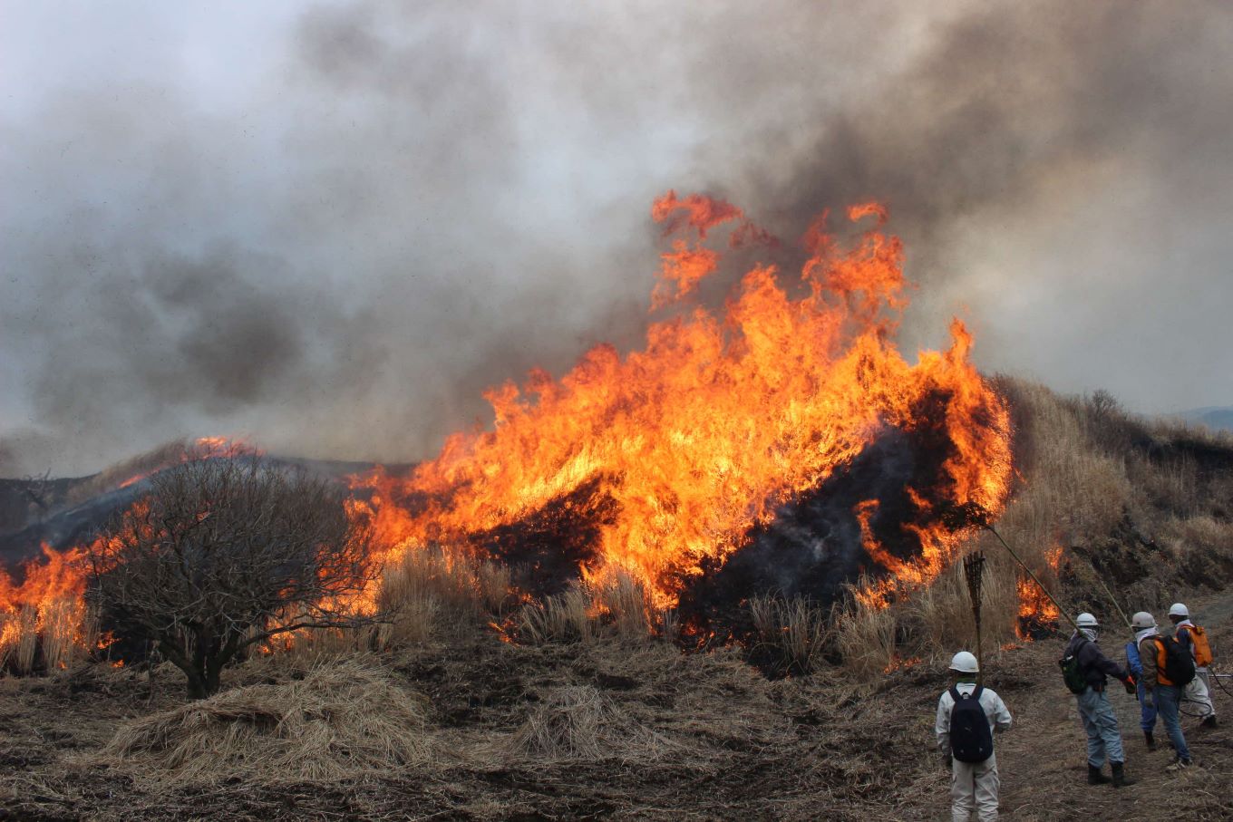 南阿蘇村草原・地下水保全支援　寄附受付【返礼品なし】￥5000