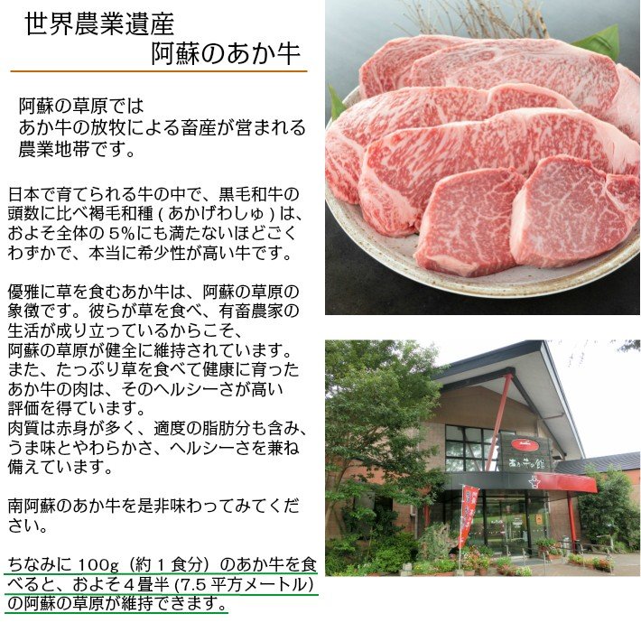 「あか牛の館」のくまもとあか牛ミンチ・角切り煮込み用セット950ｇ