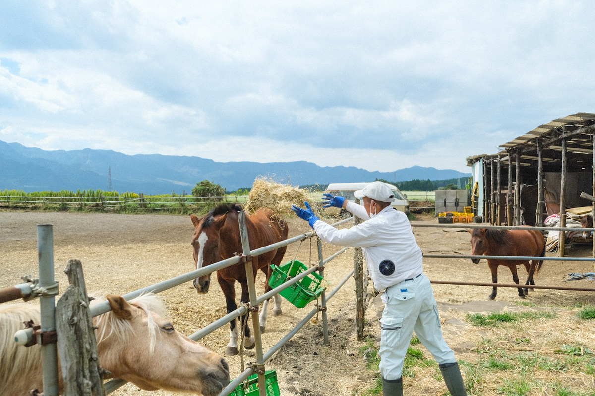 【返礼品なし】 南阿蘇で暮らす余生馬たちへ想いを届ける／日本初のアニマルサンクチュアリー＜5,000,000円＞